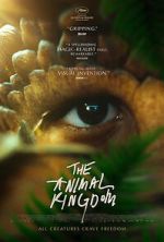 Watch The Animal Kingdom 123movies