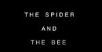 Watch The Spider and the Bee 123movies