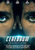 Watch Cerebrum 123movies