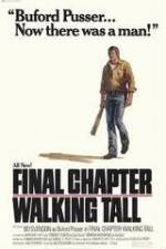 Watch Final Chapter Walking Tall 123movies