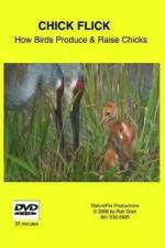 Watch Chick Flick How Birds Produce and Raise Chicks 123movies