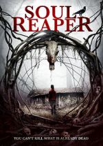 Watch Soul Reaper 123movies
