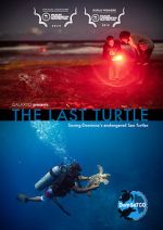 Watch The Last Turtle (Short 2019) 123movies