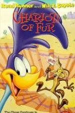 Watch Ready Woolen and Able 123movies