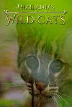 Watch Thailand's Wild Cats 123movies