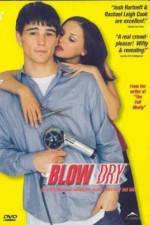 Watch Blow Dry 123movies