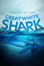 Watch Secrets of the Great White Shark 123movies