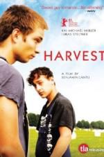 Watch Harvest 123movies