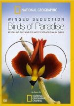 Watch Winged Seduction: Birds of Paradise 123movies