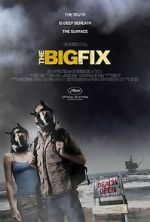 Watch The Big Fix 123movies