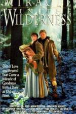 Watch Miracle in the Wilderness 123movies