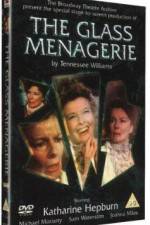 Watch The Glass Menagerie 123movies