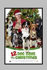 Watch 12 Dog Days Till Christmas 123movies