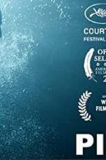 Watch Pilgrims 123movies