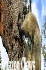Watch National Geographic Wild Amazon Claws 123movies