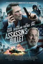 Watch Assassin's Bullet 123movies