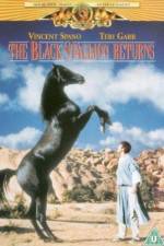 Watch The Black Stallion Returns 123movies