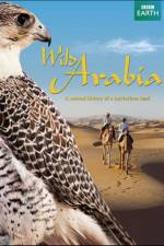 Watch Wild Arabia 123movies