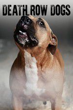 Watch Death Row Dogs 123movies