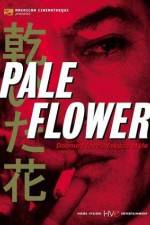 Watch Kawaita hana 123movies