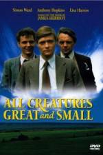 Watch All Creatures Great and Small 123movies