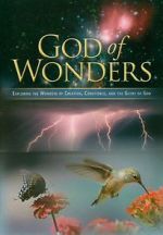 Watch God of Wonders 123movies