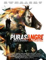 Watch Purasangre 123movies