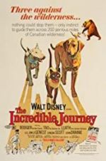 Watch The Incredible Journey 123movies
