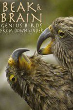 Watch Beak & Brain - Genius Birds from Down Under 123movies