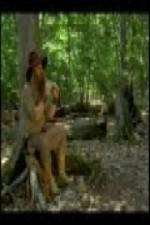 Watch The Goblin and the Woodsman 123movies