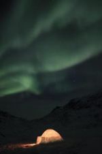 Watch The Last Igloo 123movies