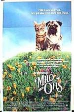 Watch Milo & Otis 123movies