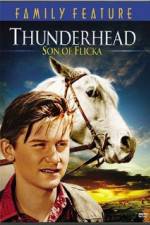 Watch Thunderhead - Son of Flicka 123movies