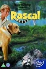 Watch Rascal 123movies