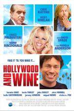 Watch Hollywood & Wine 123movies