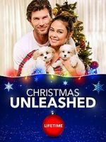 Watch A Doggone Christmas 123movies