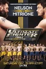 Watch The Ultimate Fighter 16 Finale Nelson vs Mitrione 123movies