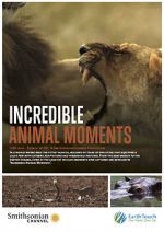 Watch Incredible Animal Moments 123movies
