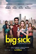 Watch The Big Sick 123movies