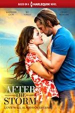 Watch After the Storm 123movies