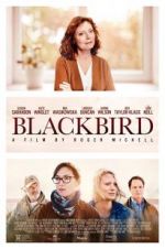 Watch Blackbird 123movies