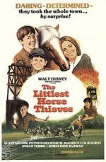 Watch The Littlest Horse Thieves 123movies