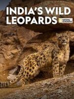 Watch India\'s Wild Leopards (Short 2020) 123movies