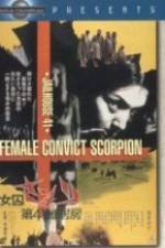 Watch Sex Hell 123movies