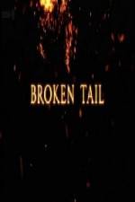 Watch A Tiger Called Broken Tail 123movies