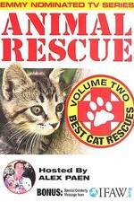 Watch Animal Rescue, Volume 2: Best Cat Rescues 123movies
