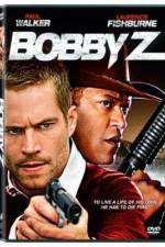 Watch The Death and Life of Bobby Z 123movies