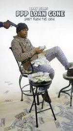 Watch PPP Loan Gone 123movies