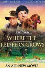 Watch Where the Red Fern Grows 123movies