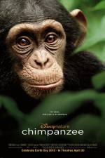 Watch Chimpanzee 123movies